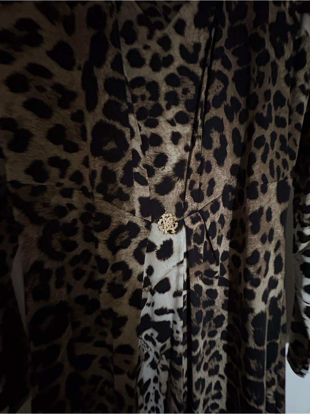 Roberto Cavalli Leopard Print Long Sleeve Maxi Dress - Brown/Black médium - Picture 3 of 11